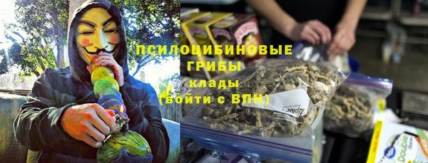крисы Абаза