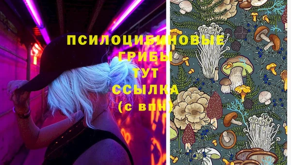 мяу мяу мука Сатка