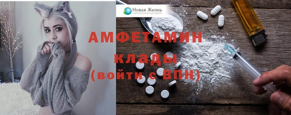 крисы Абаза